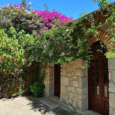 Paraje La Huerta Oaxaca Dış mekan fotoğraf